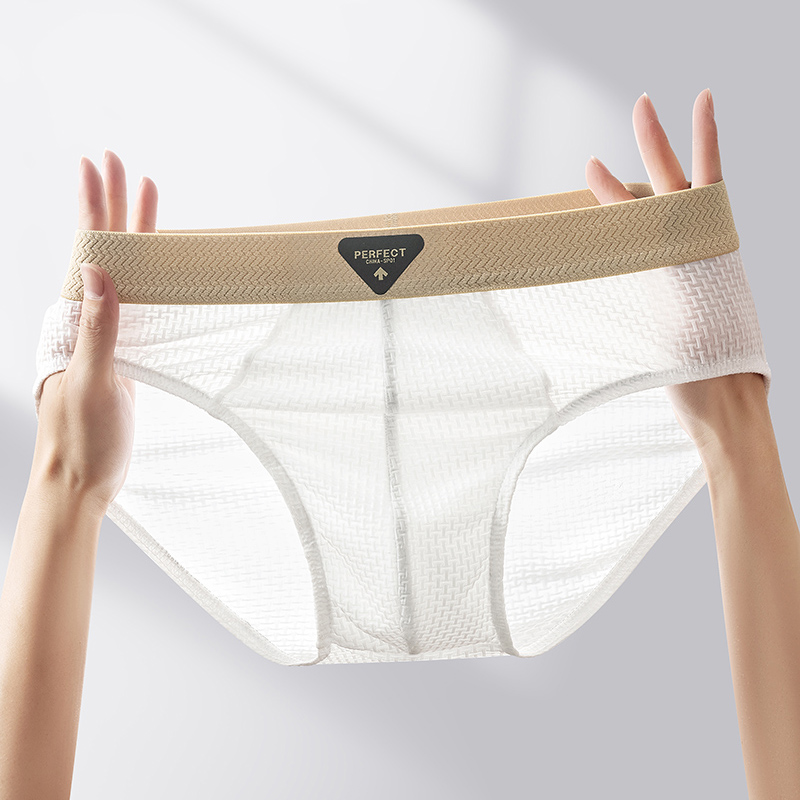 Multi Pack Underwear - 1 個ブリーフ男性下着セクシーなランジェリー男性パンティーナイロン固体パンツ通気性 Cueca Causal Calcinha 卸売ロット