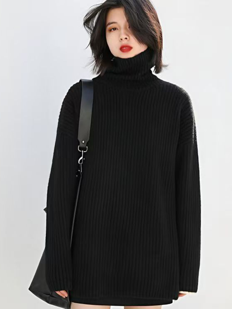 長袖無地快適ジャンパー韓国風タートルネックプルオーバー202 - Thermal Long John のレビューと価格